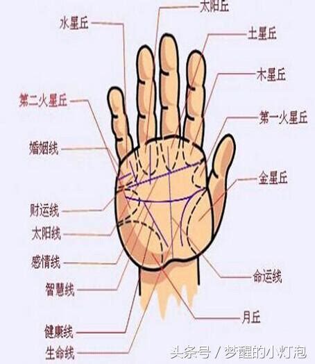 掌中菱形紋|史上最罕見的手相掌紋圖解大全